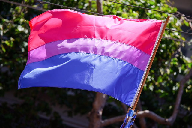 A picture of a bi flag, looking bright in the sunlight