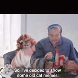  So, I've decided to show
 some old cat memes.