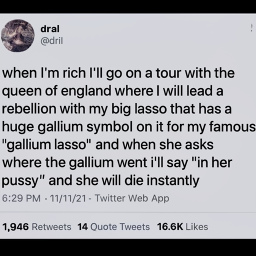 [Description] a screenshot of a screenshot of a tweet by dril. Caption: When I'm rich, I'll go on a tour with the queen of England [Text] dral [newline] @dril [newline]  when I'm rich I'll go on a tour with the [newline]  queen of england where I will lead a [newline]  rebellion with my big lasso that has a [newline]  huge gallium symbol on it for my famous [newline] "gallium lasso" and when she asks [newline]  where the gallium went i'll say "in her [newline]  pussy" and she will die instantly [newline]  6:29 PM 11/11/21 Twitter Web App [newline]  1,946 Retweets 14 Quote Tweets 16.6K Likes