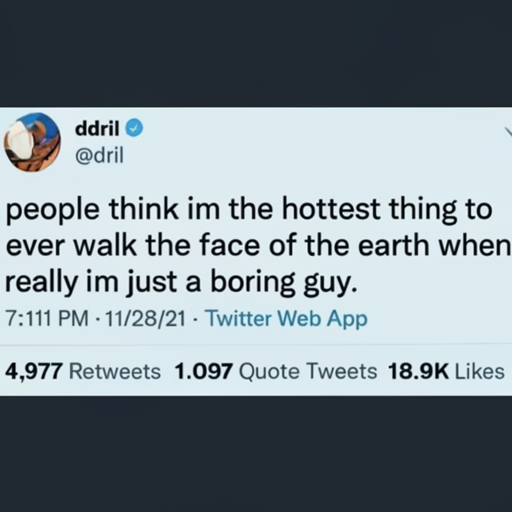 [Description] a screenshot of Dril's Twitter account, with a tweet that says, ` [Text] dril [newline] @dril [newline]  people think im the hottest thing to [newline]  ever walk the face of the earth when [newline]  really im just a boring guy. [newline]  7:11 PM 11/28/21 Twitter Web App [newline]  4,977 Retweets 1.097 Quote Tweets 18.9K Likes