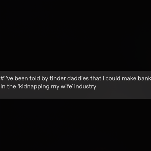 [Description] screenshot of a text conversation from a Tinder profile. Text: ` [Text]#i've been told by tinder daddies that i could make bank [newline]  in the 'kidnapping my wife' industry