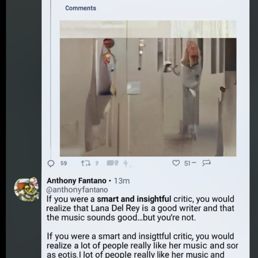 [Description] A screenshot of a Facebook thread, showing screenshots of a Facebook conversation with a woman named PERSON, who says, ` [Text] Comments [newline]  Liked by thecreator [newline]  Anthony Fantano [newline] @anthonyfantano 13m [newline]  If you were a smart and insightful critic, you would [newline]  realize that Lana Del Rey is a good writer and that [newline]  the music sounds good... but you're not. [newline]  If you were a smart and insightful critic, you would [newline]  realize a lot of people really like her music and