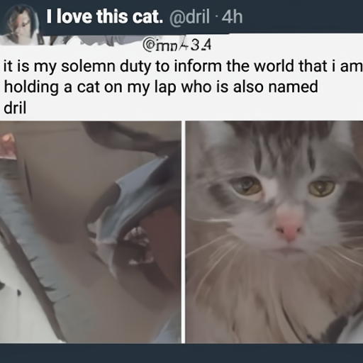 [Description] a screenshot of a tweet that shows a cat in a person's lap [Text] I love this cat. @dril 4h [newline]  it is my solemn duty to inform the world that i am [newline]  holding a cat on my lap who is also named [newline]  dril