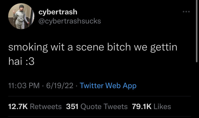 tweet from twitter user @cybertrashsucks: "smoking wit a scene bitch we gettin hai :3"