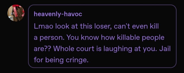 Comment from @/heavenly-havoc that says "Lmao look at this loser, can't even kill a person. You know how killable people are? Whole court is laughing at you. Jail for being cringe."